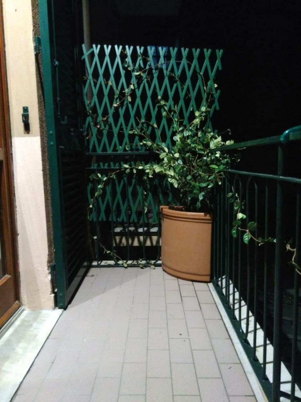 Della Dama Vicino